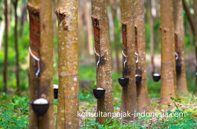 Bisnis Karet: Peluang Emas di Balik Getah Alam